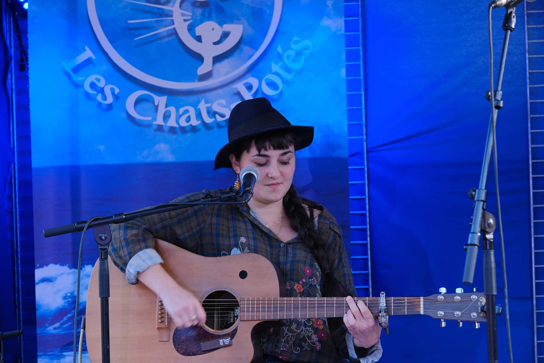 guitariste chats pottes